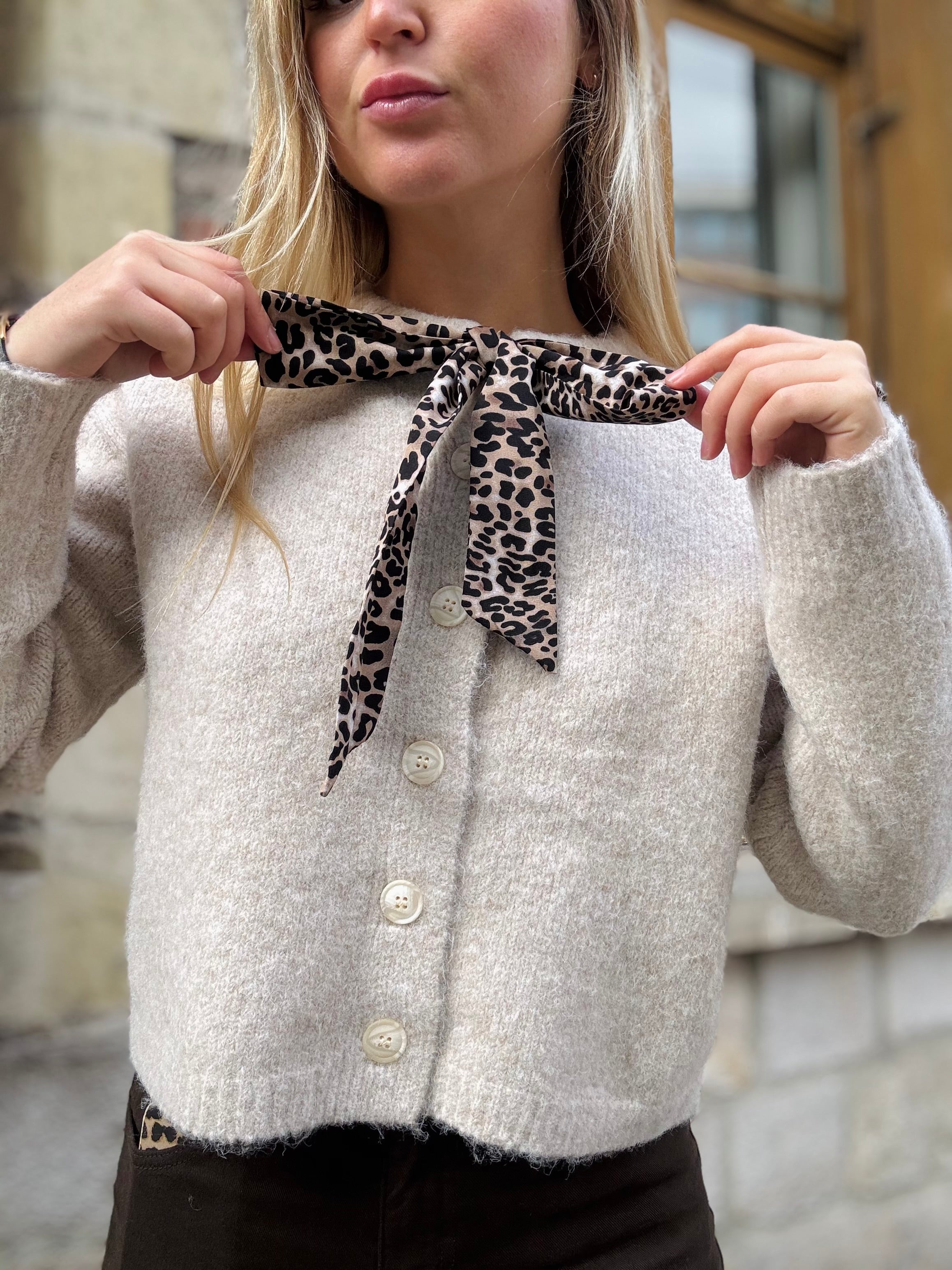 Gilet Beige Parfait