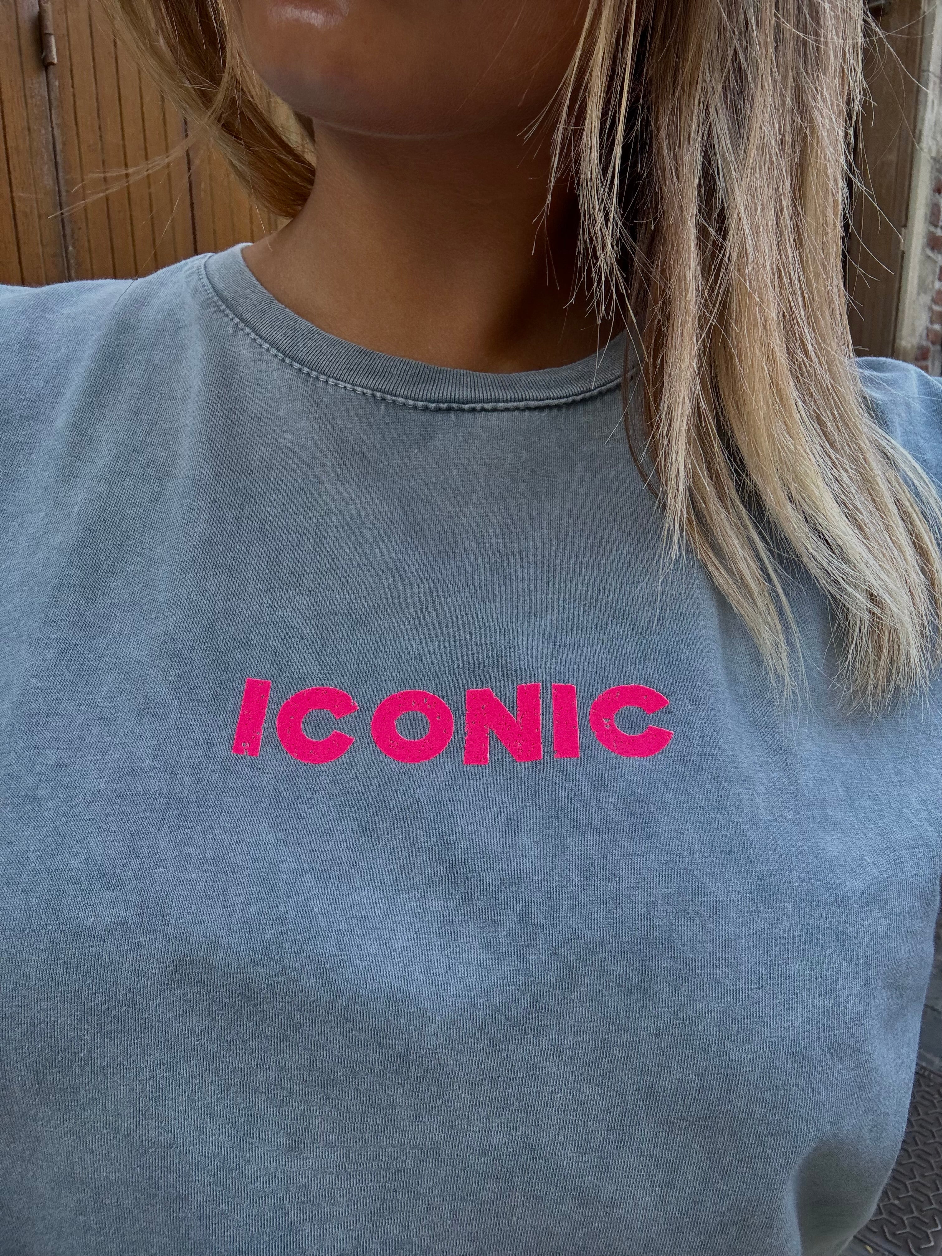 T-shirt Gris ICONIC