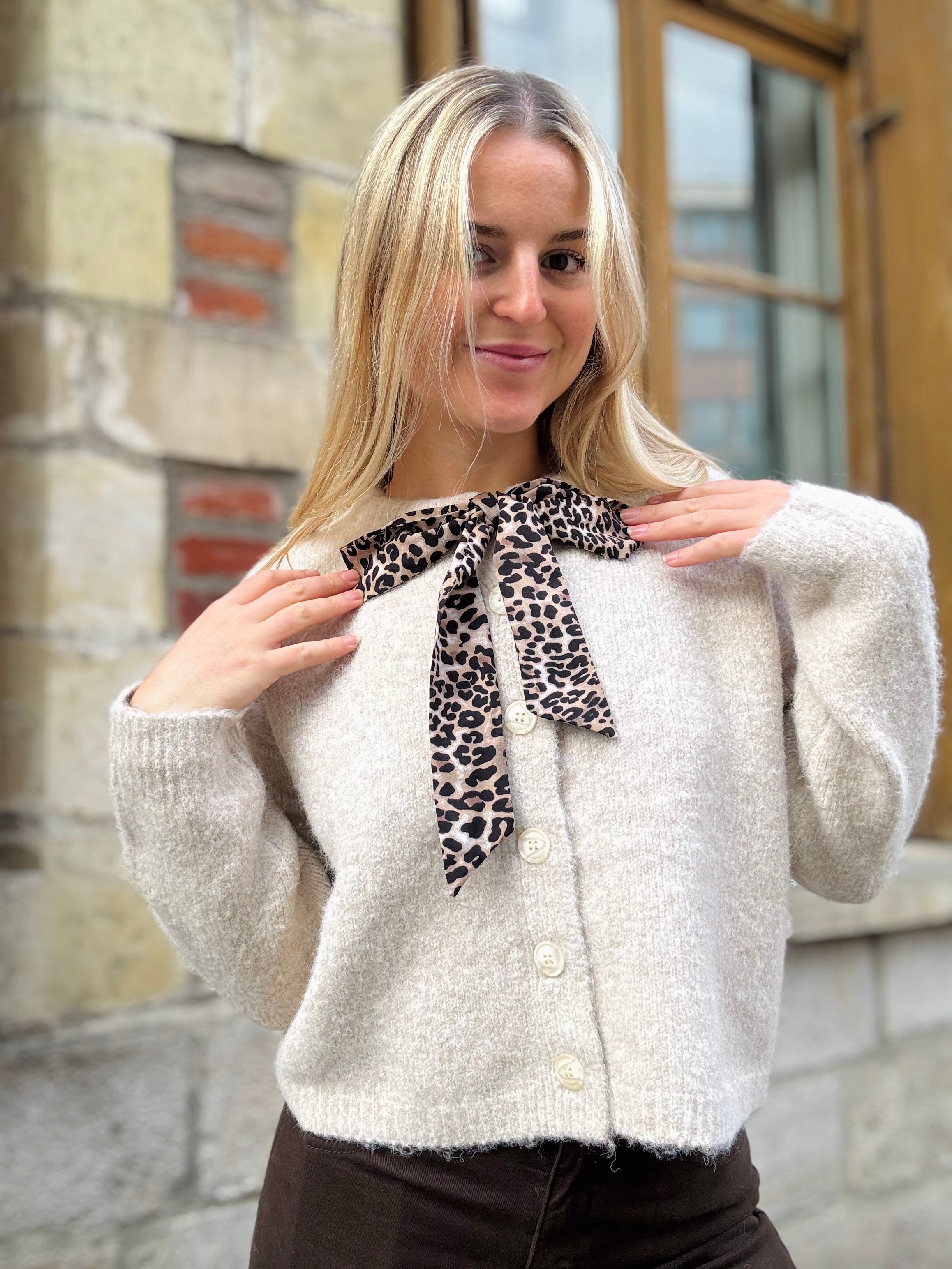 Gilet Beige Parfait