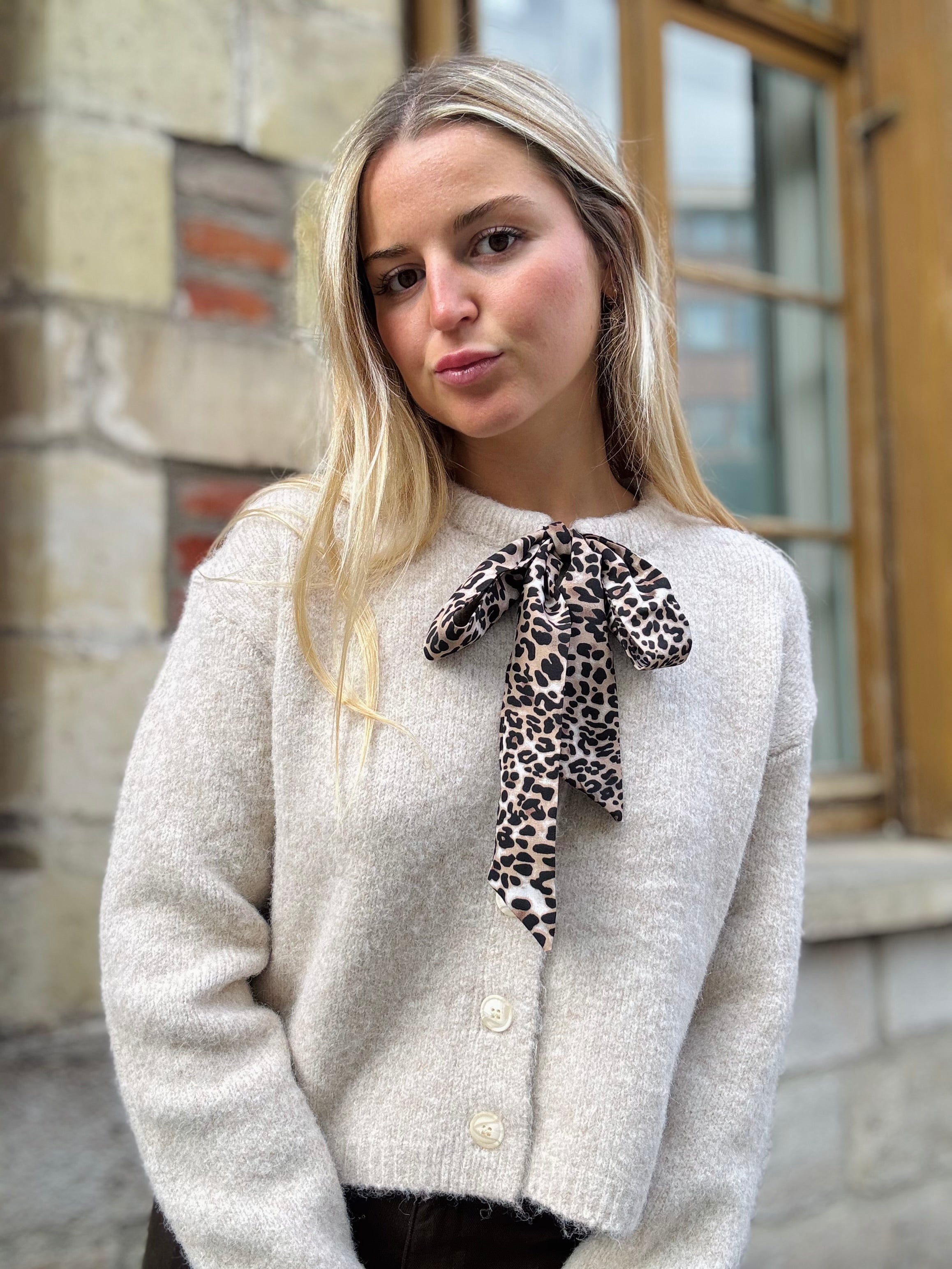 Gilet Beige Parfait
