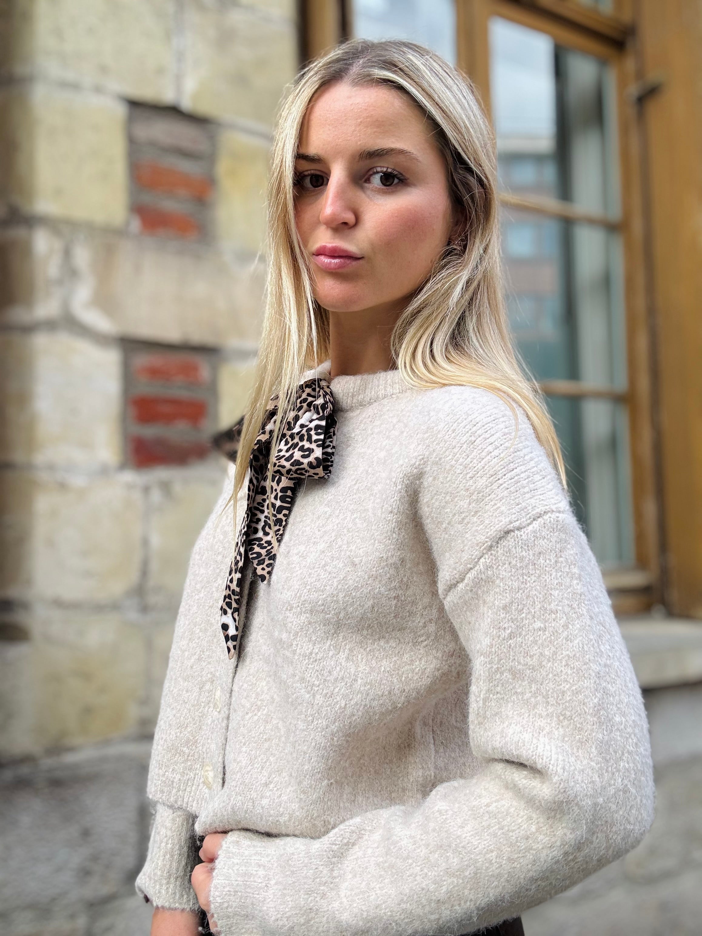 Gilet Beige Parfait